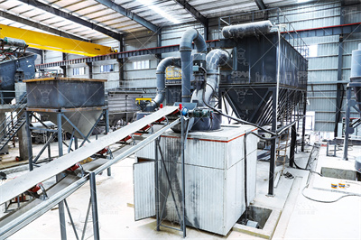 天呐！原来乌龟可以打磨成玻璃一样！_哔哩哔哩_bilibili